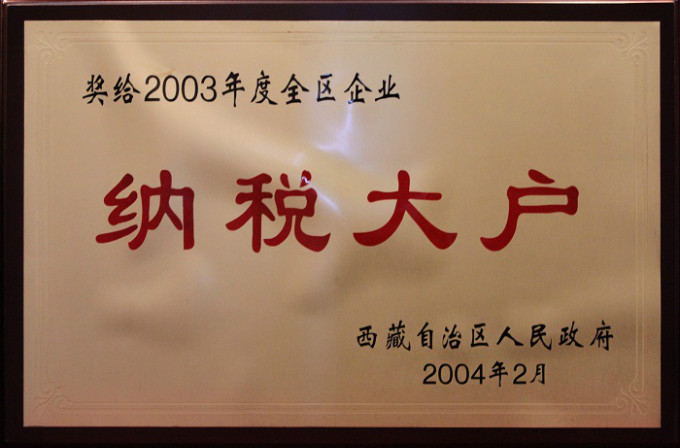 2004納稅大戶(hù)