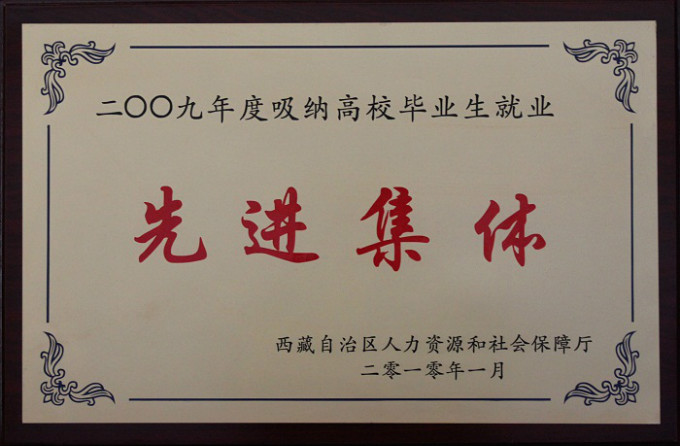 2009吸納高校畢業(yè)生就業(yè)先進(jìn)集體