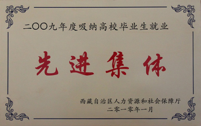 2010吸納高校畢業(yè)生就業(yè)先進(jìn)集體